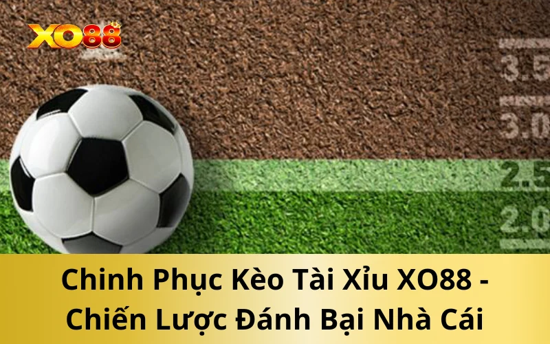 Chinh Phục Kèo Tài Xỉu XO88 - Chiến Lược Đánh Bại Nhà Cái