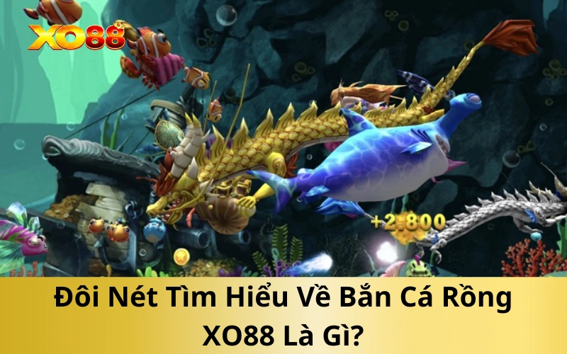 Đôi Nét Tìm Hiểu Về Bắn Cá Rồng XO88 Là Gì?
