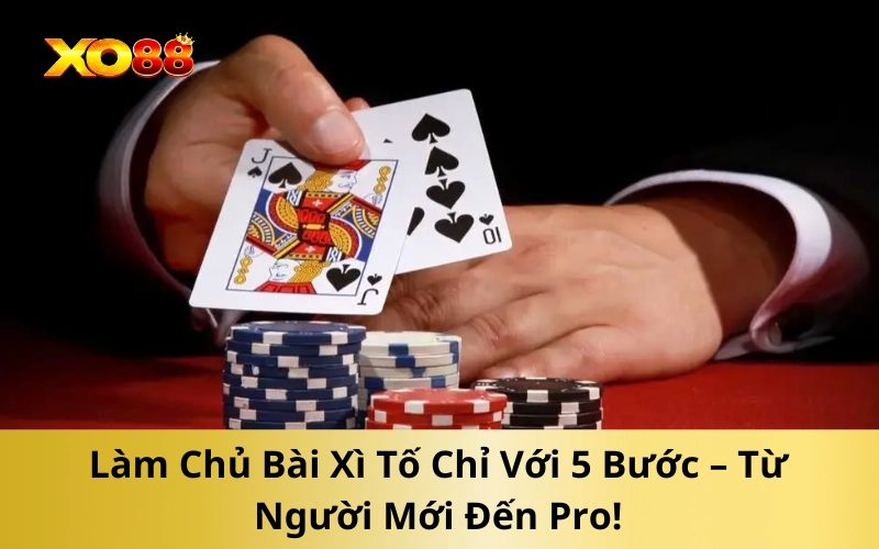 Làm Chủ Bài Xì Tố Chỉ Với 5 Bước – Từ Người Mới Đến Pro!